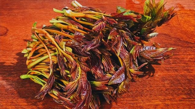 香椿立大功？研究发现：香椿可在40小时内清除体内40%有害菌群？