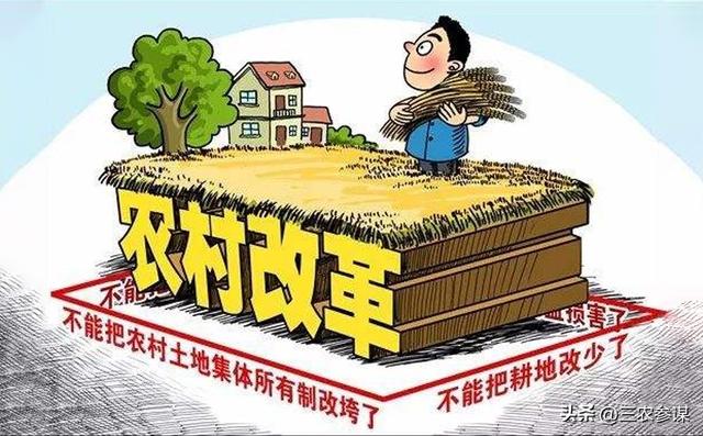 2025年政策红利，助农民增收入、减风险，“三增六减”农民早知道