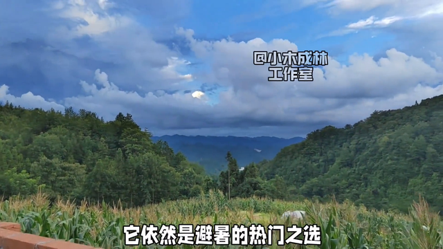 2025避暑新指南：湖北利川白鹤山诗意栖居新体验