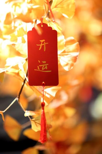 走财运，就算你没有工作，身无分文，你还是会发财