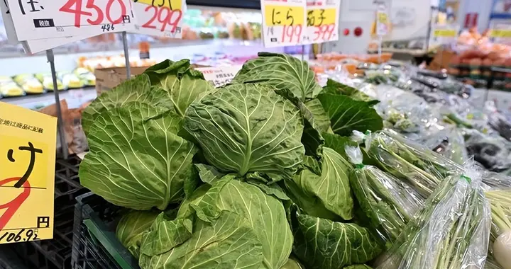 难怪日本代表团排队访华，通胀居高不下，日本人快吃不起白菜了