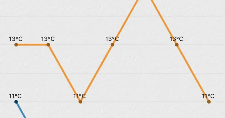 别出门了，雨水又双叒叕来了