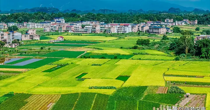 明日六月十一“大暑连阴，遍地黄金”，连续阴雨对秋粮是好是坏？