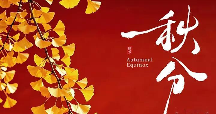 秋分至｜别过夏花绚烂，走进秋叶静美