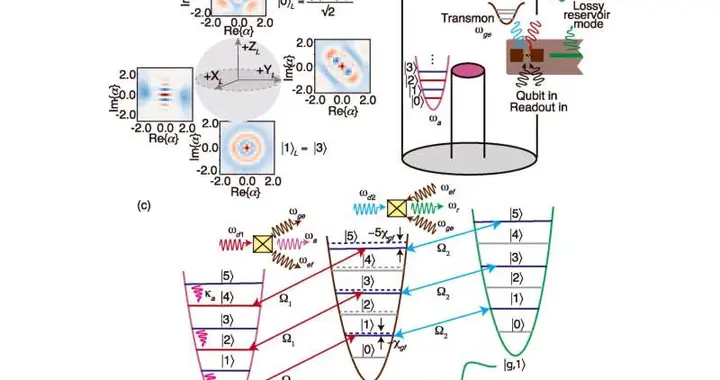 被动量子纠错将量子比特寿命翻倍，达到盈亏平衡点