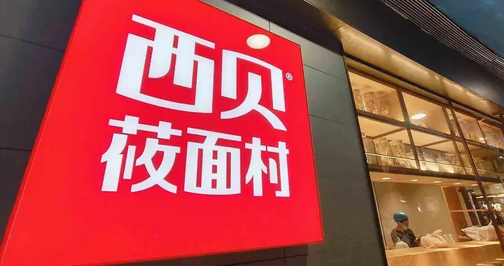 向贾国龙道歉，看到他那句一生只爱一个人，我突然就懂了他的固执