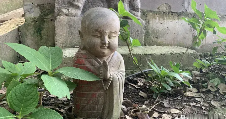 写给自己：明天就是2025年的最后一天了，还想说点话