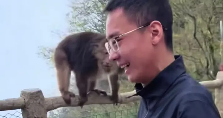 后续！官方通报：猛推猴子男子3年内禁入峨眉山，网友：罚太轻了
