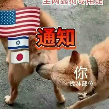 顶明光：对大殖子的描述真形象啊