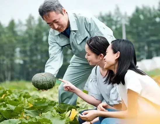 种瓜不结瓜？别愁！看这儿，30天摘瓜到手软
