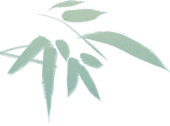 清风徐来“廉”花开 | “校园清风”开栏！