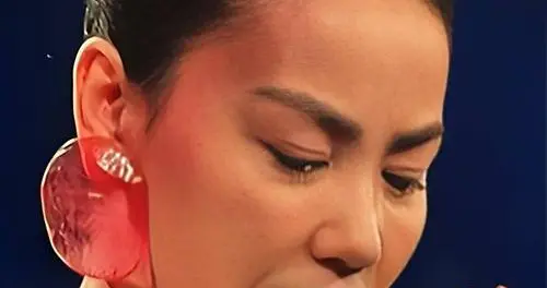 王菲春晚演唱原唱毕业于北大