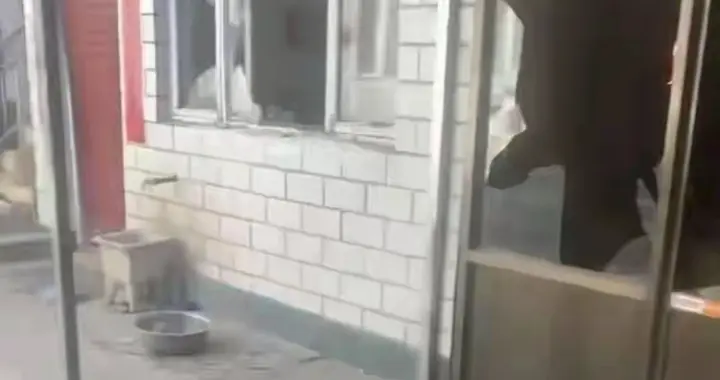 狗伤人后主人找上门遭反杀案开庭，双方各执一词，被告女儿爆细节