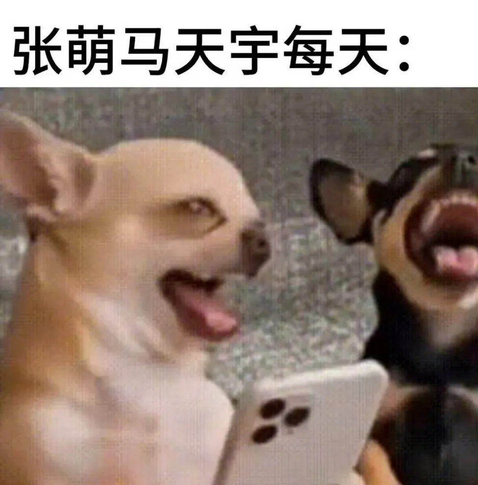 我说有些没睡醒的能不能别妨碍我们乐子人，纯稚故事线都没开始了，别破坏我...