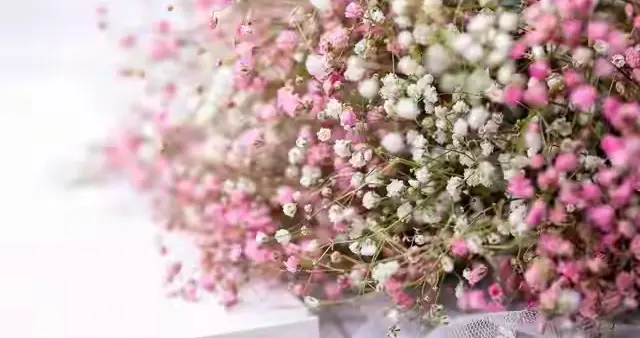 让心灵归于平静