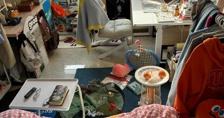 上海姑娘爆改极繁风之家，网友炸锅：美还是乱？房间细节曝光