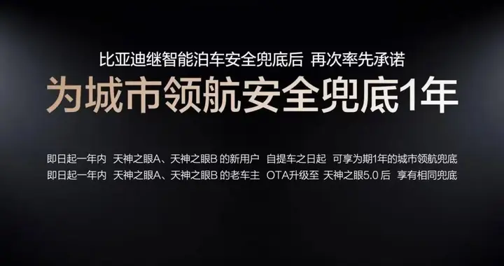 比亚迪再次重塑规则，直赔兜底模式拉动行业整体，让用户更安心