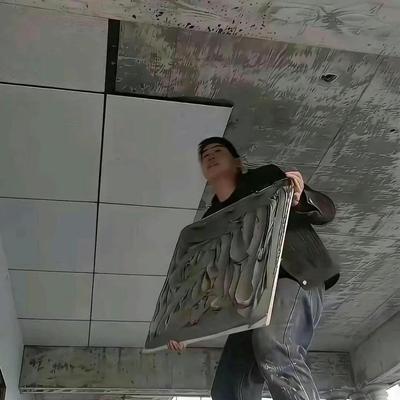 彼得堡的肥天鹅：好家伙，一个敢贴，一个也