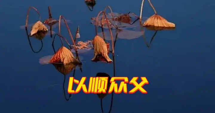 杨鹏教授认为：“以阅众甫”被王弼篡改得面目全非了！