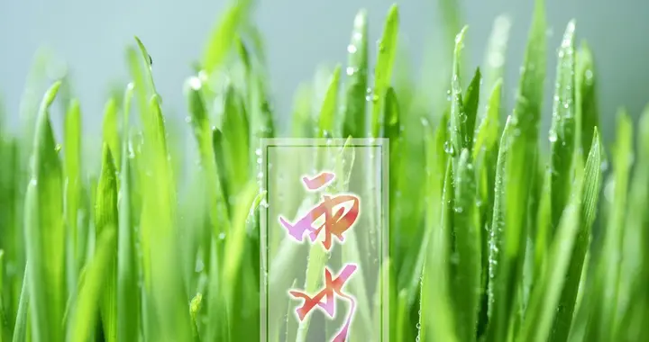 明日年初二，俗语“七九八九雨水节，种田老汉不能歇”，有道理？