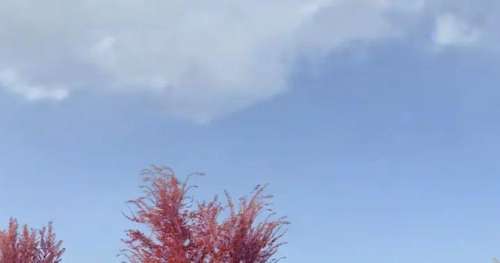 当你看透人性，就不会在婚姻中内耗 婚姻下半场是看破不说破的清醒