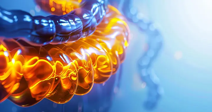 司莫司汀如何抑制胃肠肿瘤细胞的生长？