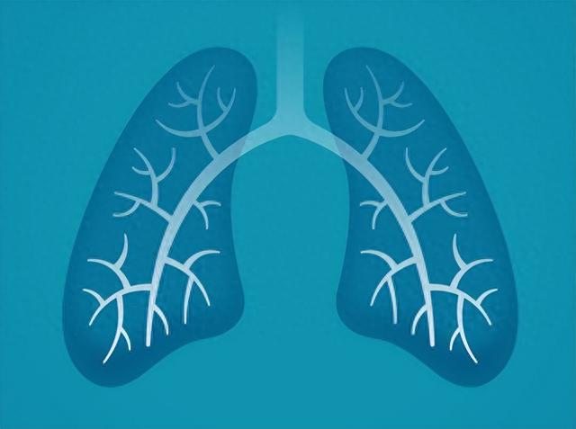 汗多在肺，白发多在肺，放屁多还在肺，三个中成药，止汗养发通气