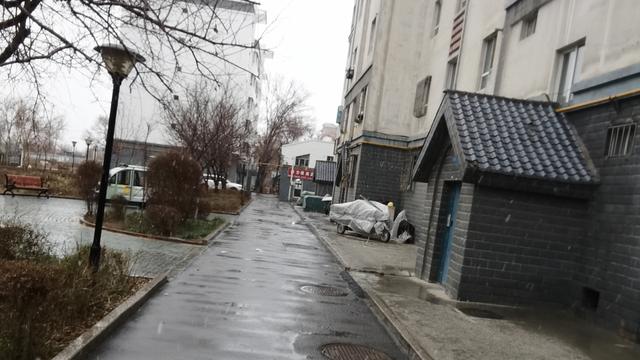 赵尉频草原上骑马打狼：:冬雪滋红梅