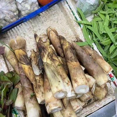 潘云：太揪心！男子连续3天空腹吃笋，胃黏