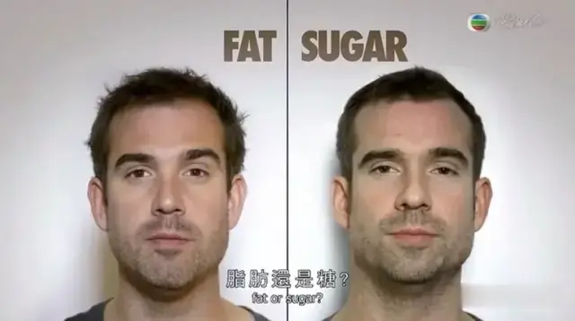 为了找出肥胖元凶，双胞胎一人吃糖一人吃脂肪，终于揭开奥秘