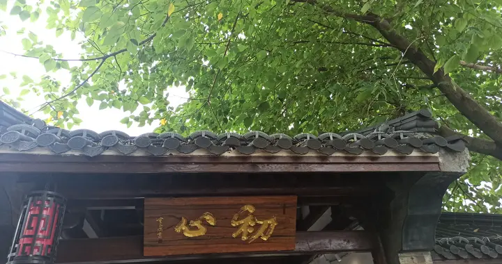 40岁后，你只有恢复诚实，才能重启人生：烧不死的鸟是凤凰！