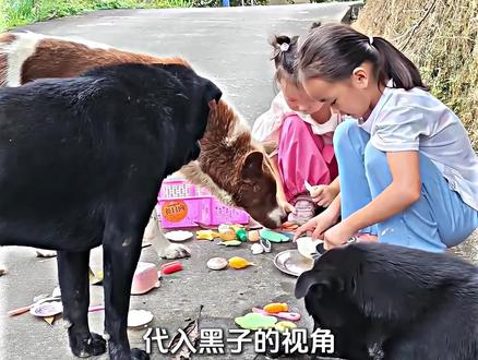 《仁义黑帅》 人情世故被一只田园犬拿捏妥妥的！(Cr：汐宝宝）