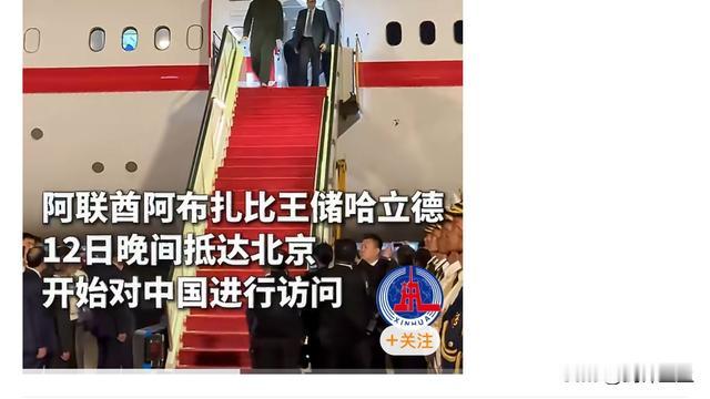 剑锋至上：阿联酋阿布扎比王储访华 众所周