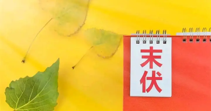 今日末伏，不管多忙，记得：1不做、2不问、3不吃、4不借