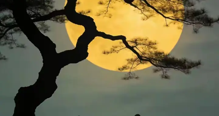 广结善缘、其本质是什么意思呢？