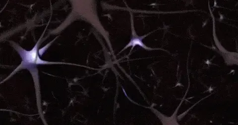 只知道间充质干细胞的看过来：神经干细胞