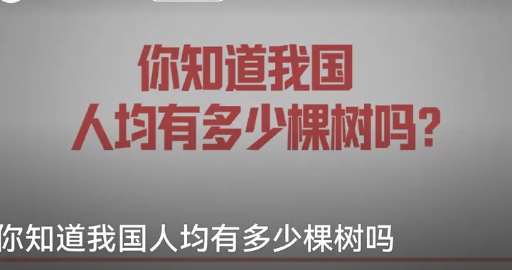 中国首张树密度地图曝光！人均100棵树，背后藏着亿万人的坚持