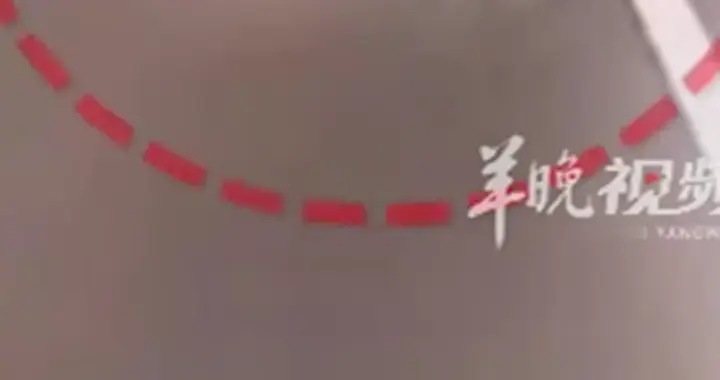 新能源车高速上电量耗尽，两人下车推行被撞身亡！广东交警提醒→