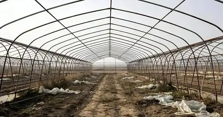 空壳公司注册9天拿下亿元大标！材料贵4倍逼停工程，谁在分钱？