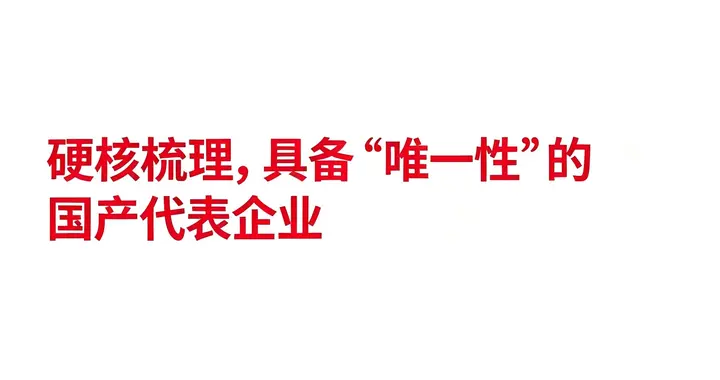 硬核梳理，具备“唯一性”的国产代表企业