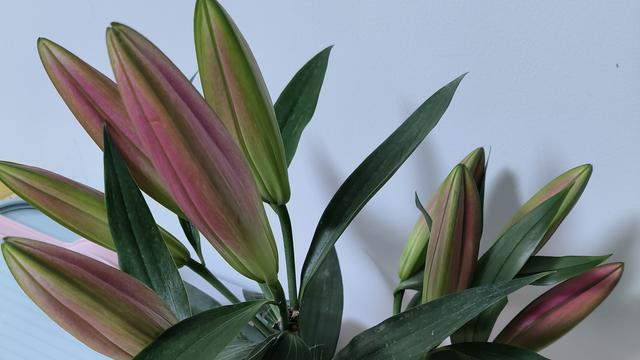 全职妈妈的小灶台：其实我是一个特别无趣的