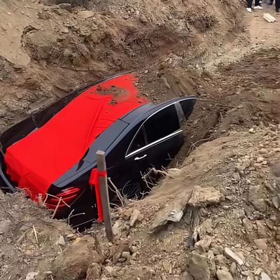 树先生吖：豪车陪葬到底是犯了什么罪？ 最