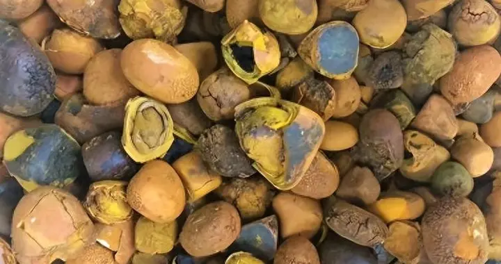 比黄金还贵！1公斤卖165万，之前在农村被当成垃圾，为何现在暴涨
