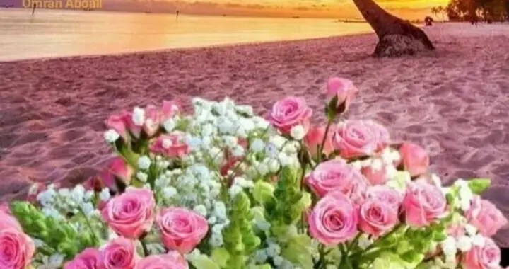 人生不过是一场旅途