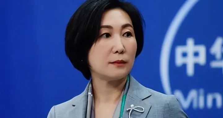 美国哪能想到，比尔盖茨预言应验！中国第二个华为崛起征服全世界