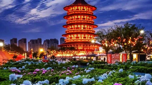 城市温度记录站：【洛阳•早安】牡丹有信