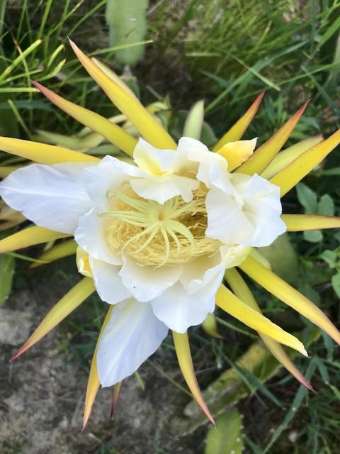 生活不能等别人来安排，要自己去争取和奋斗