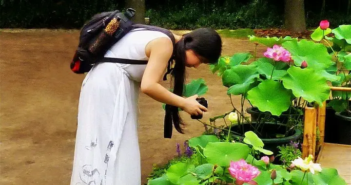 《“千万工程”里的生意经：返乡学子的荷花经济》