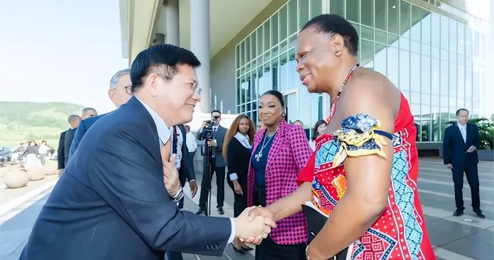 自嗨！林佳龙窜访斯威士兰后返台 叫嚣圆满完成目标！