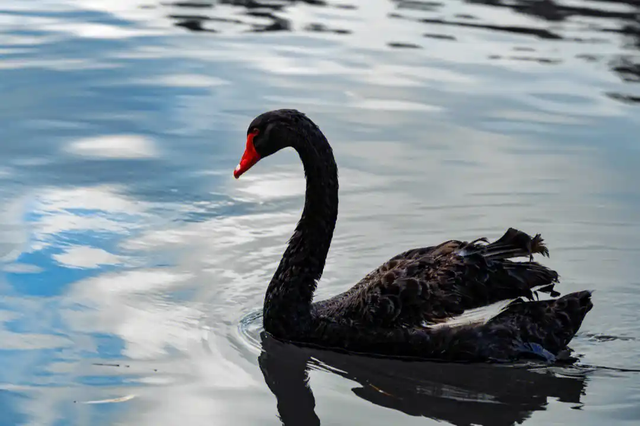 如果你无法预测他，那你适合这么做投资